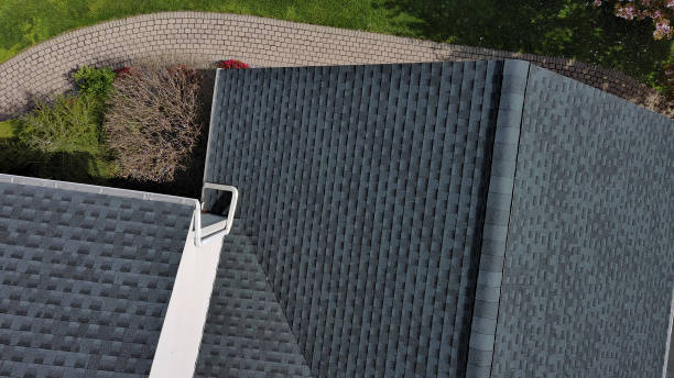 Best Roof Moss and Algae Removal  in Town Creek, AL